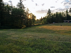 P8157828