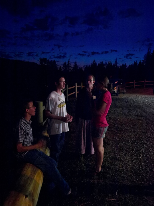 P8158257.jpg - Norsk Folkedans Stemne 2008