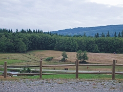 P8143193