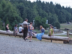 P8155226