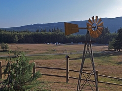 P8155960