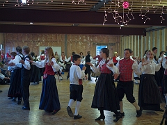 P8156359