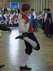P8156494