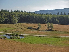 P8167591