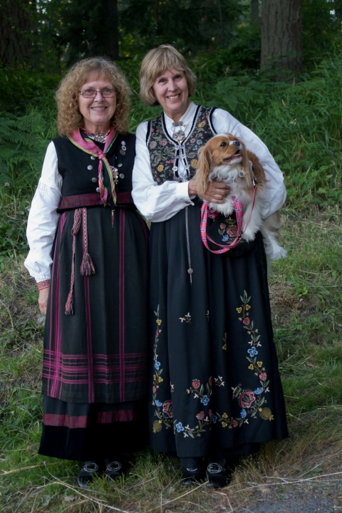 Stemne2011-364.jpg - Norsk Folkedans Stemne