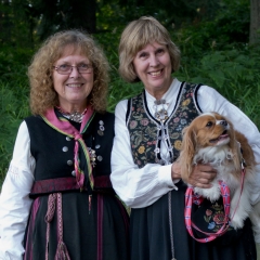 Stemne2011-365
