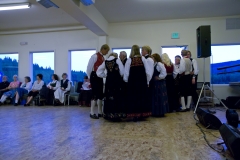 Stemne2011-367
