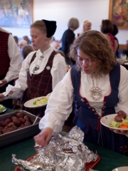 Stemne2011-100