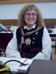 Stemne2011-90